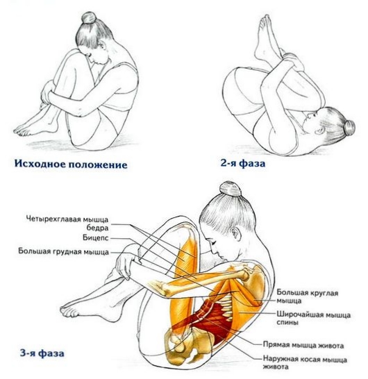 Упражнение для копчика
