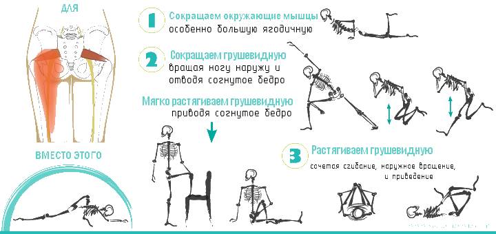 Упражнения при спазме грушевидной мышцы