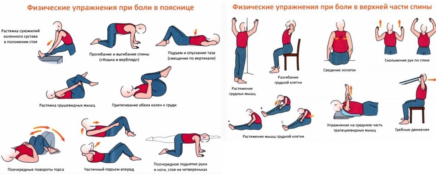 Упражнение для облегчения боли в спине