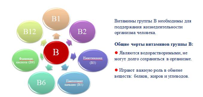 Витамины группы B