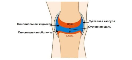 Восстановление синовиальной жидкости