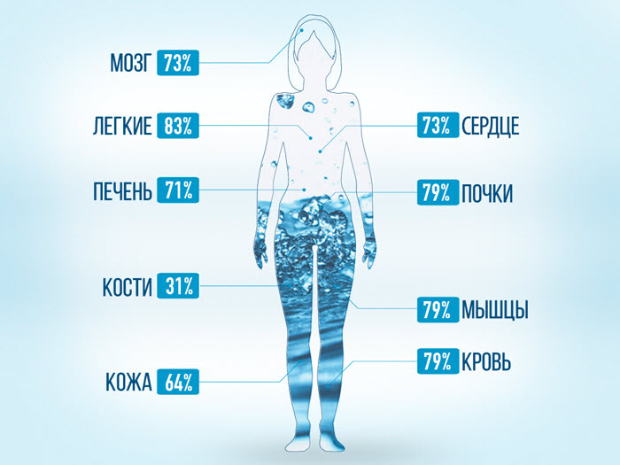 Восстановление водного баланса